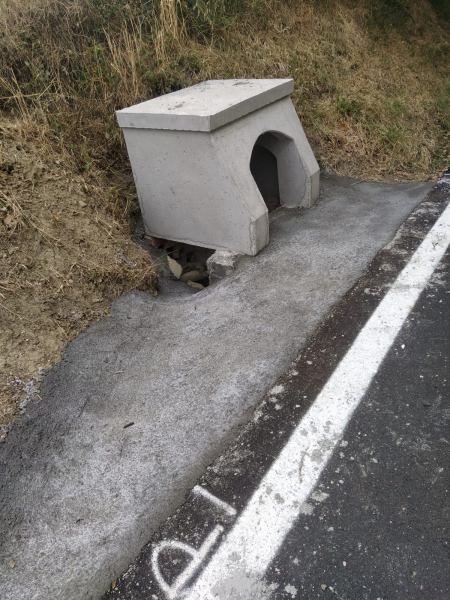 Manutenzioni stradali