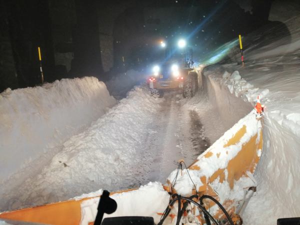 Sgombro neve