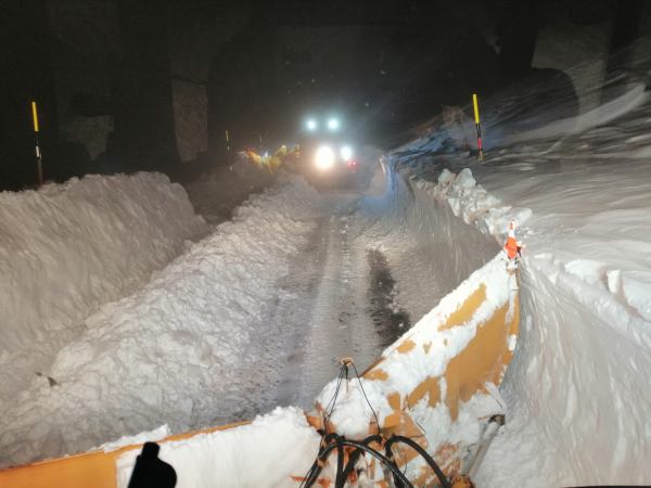 Sgombro neve