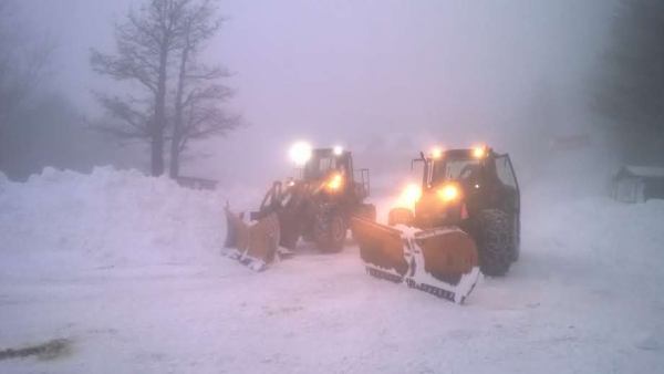 Sgombro neve